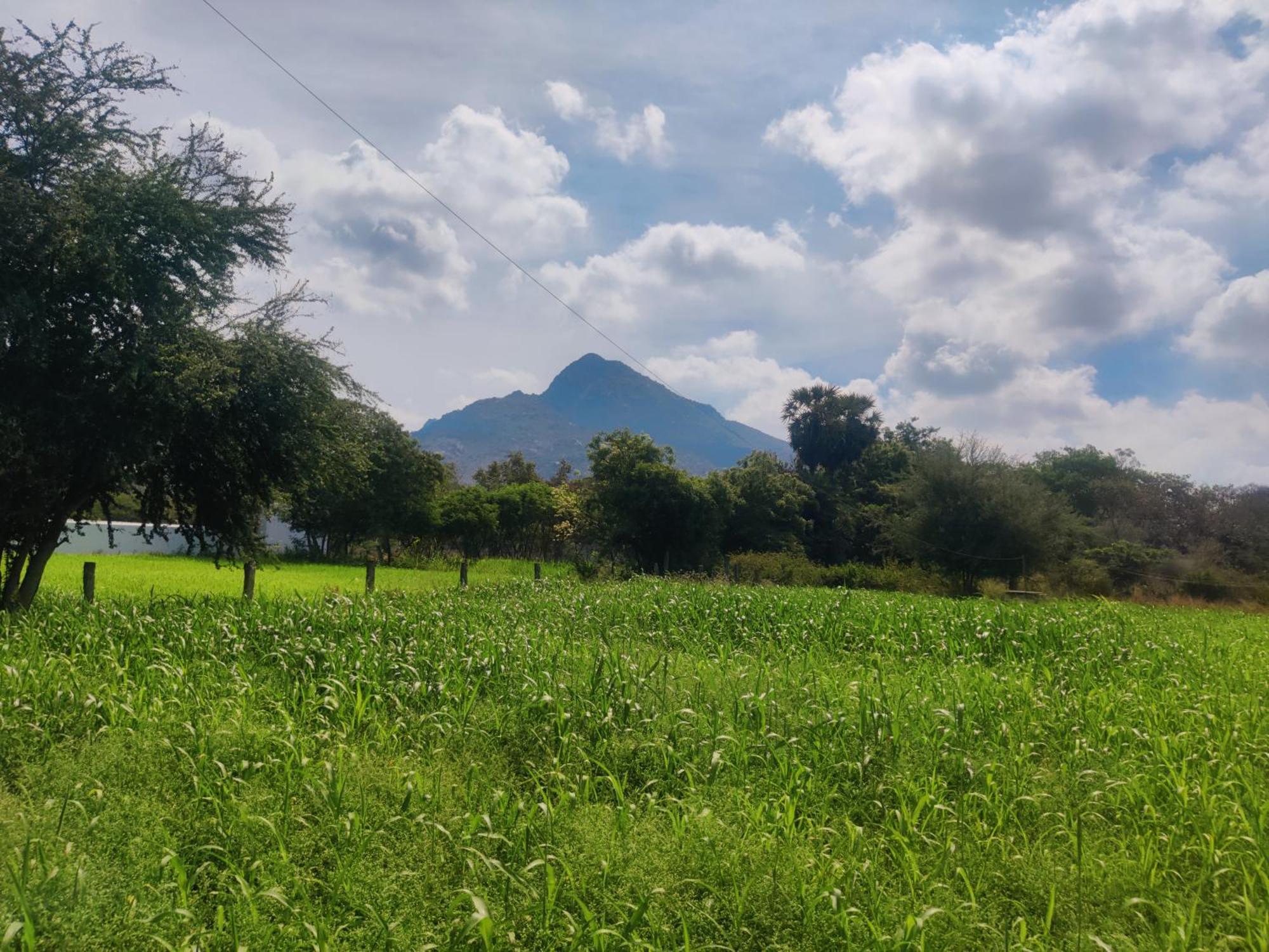 Arunachala Houses Tiruvannamalai Luaran gambar